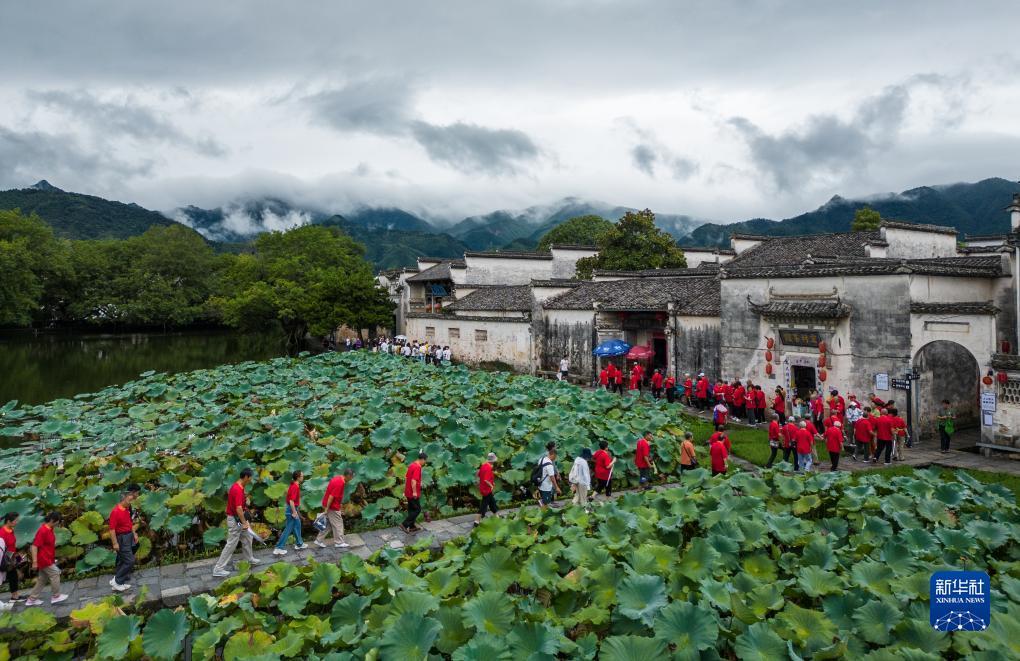 钱柜下载平台